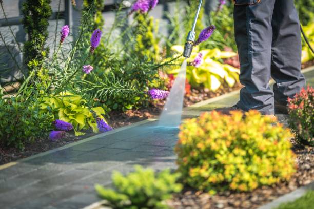 Best Patio and Deck Pressure Washing  in Itasca, IL